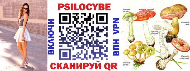 Галлюциногенные грибы Magic Shrooms  купить наркоту  Новая Ляля 