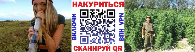 купить закладку  Новая Ляля  Бошки марихуана Ganja 
